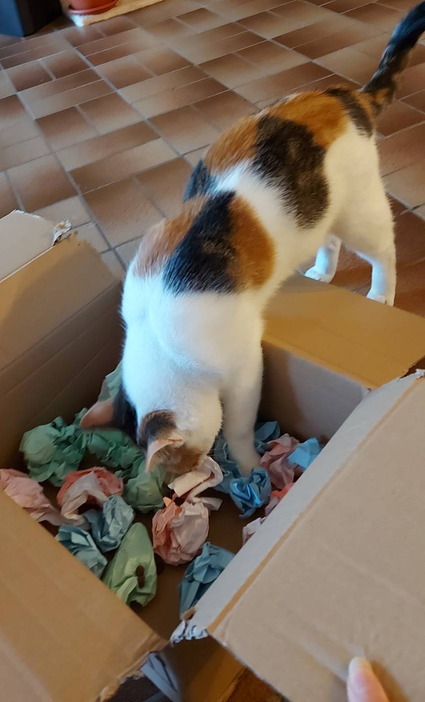 Amanda_12335_0 - Kopie.jpg